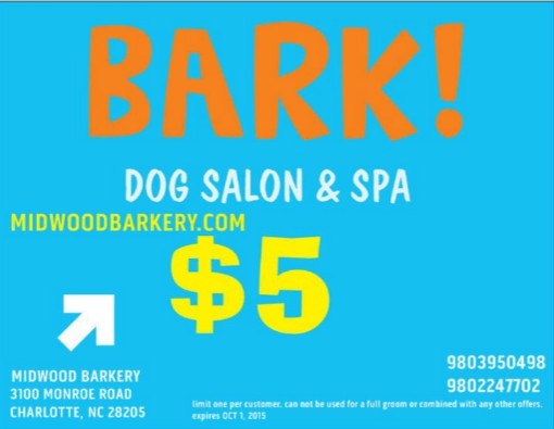 Local Dog Groomer | Professional Dog Baths | 28205 | Midwood Barkery
