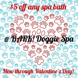 Local Dog Groomer | Professional Dog Baths | 28205 | Midwood Barkery